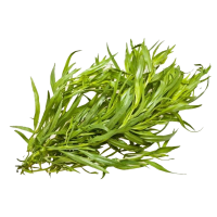 Тархун свежий (вес)