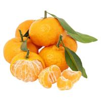 transparent-Photoroom - 2025-11-18T083006.499