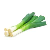 Лук порей сжатый