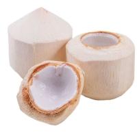 Кокосы (Tailand) 1шт (1)