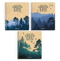 Тетрадь общая Green Island 96л 14961-3