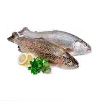 Рыба Форель охлажд