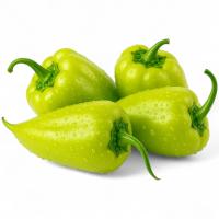 transparent-Photoroom - 2025-10-13T154535.944