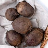 Свекла сжатый