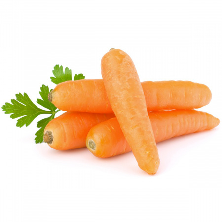 морковь молодой